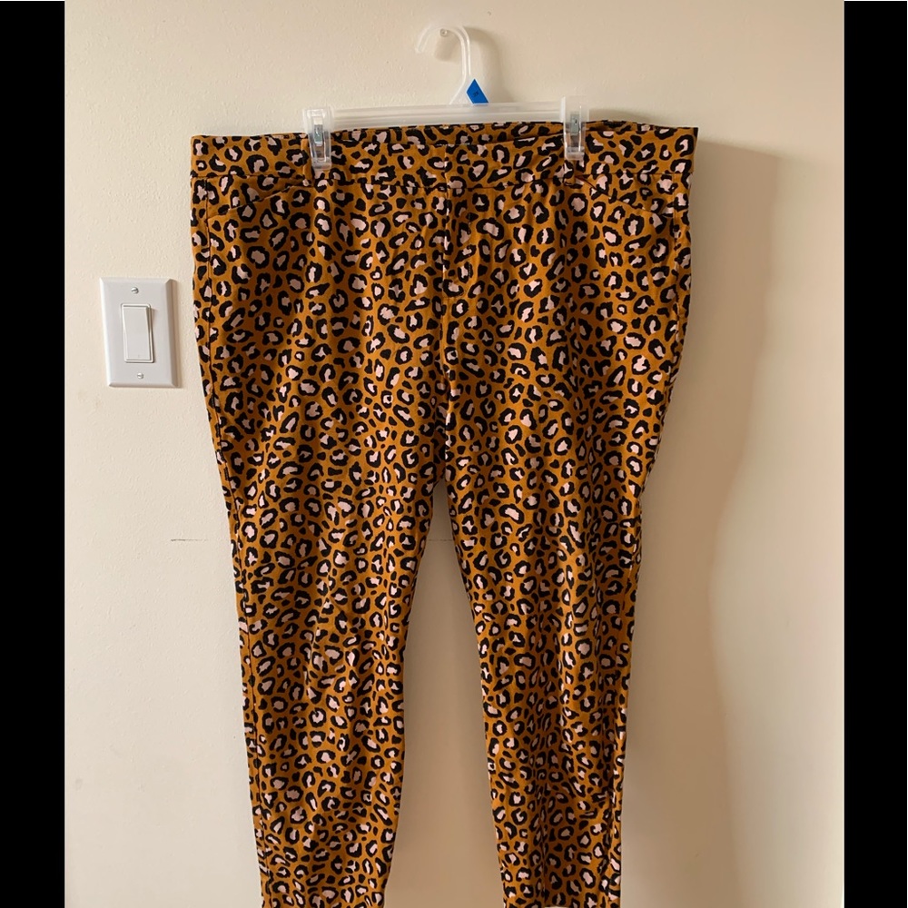 Leopard Pixie Pants